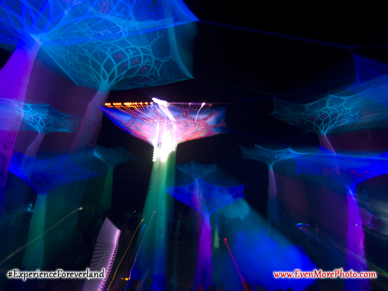 foreverland_evenmorephoto_044