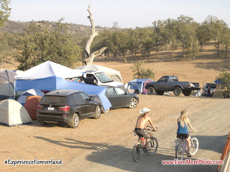 foreverland_evenmorephoto_074