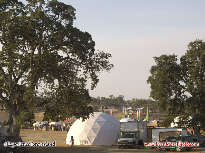 foreverland_evenmorephoto_075