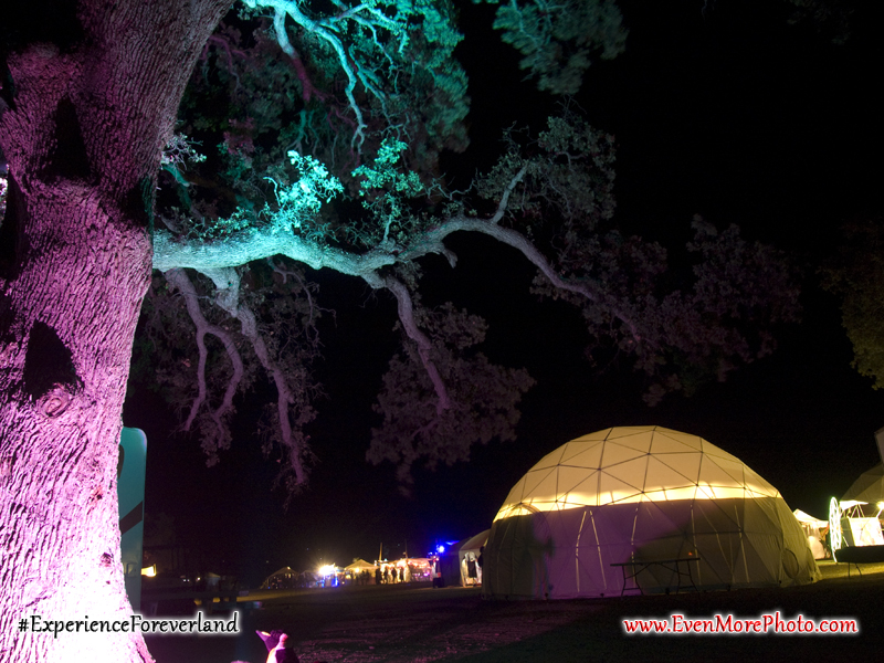 foreverland_evenmorephoto_104