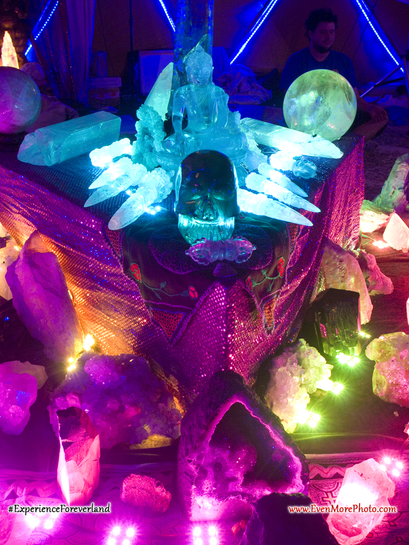 foreverland_evenmorephoto_115