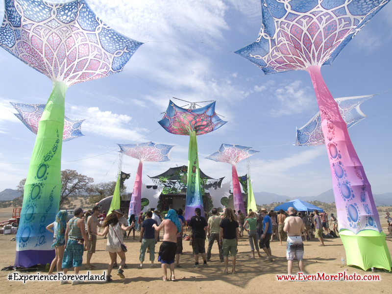 foreverland_evenmorephoto_147
